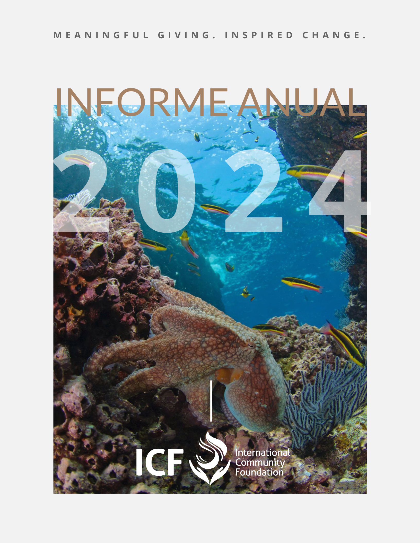 Informe Anual 2024
